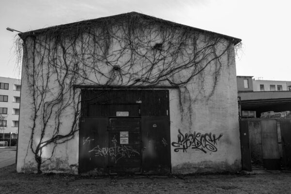 Abschiebehäftling Randaliert in Flugzeug Berlin Berlin News