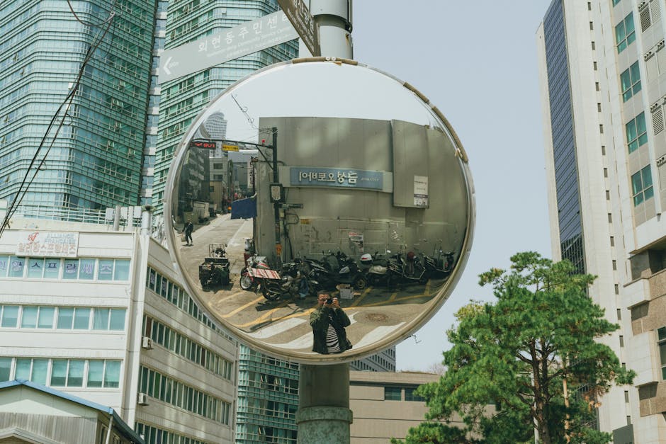 Alice Weidel Partnerin Berlin News