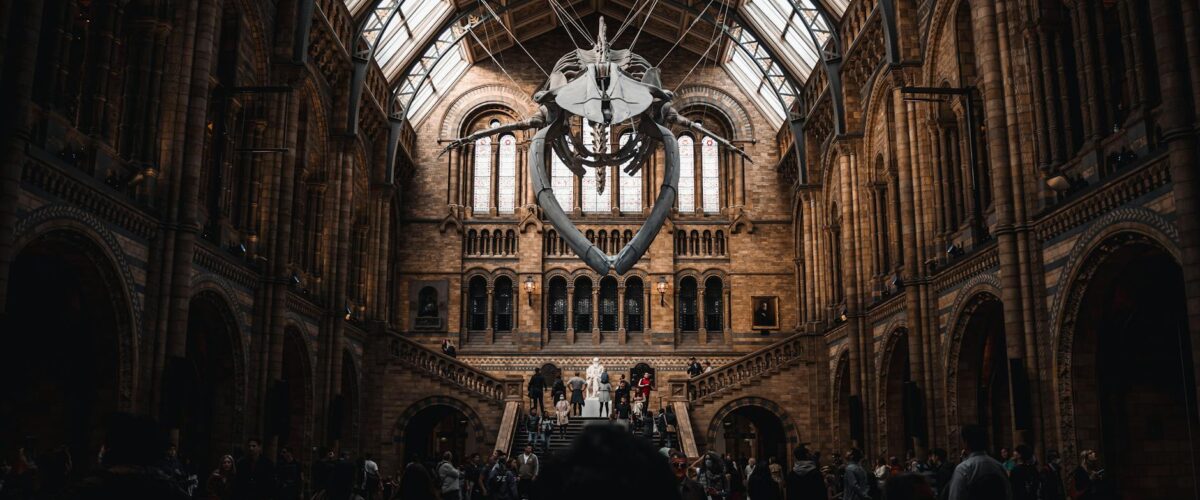 Ausstellung Neues Museum Berlin 2026 Berlin News