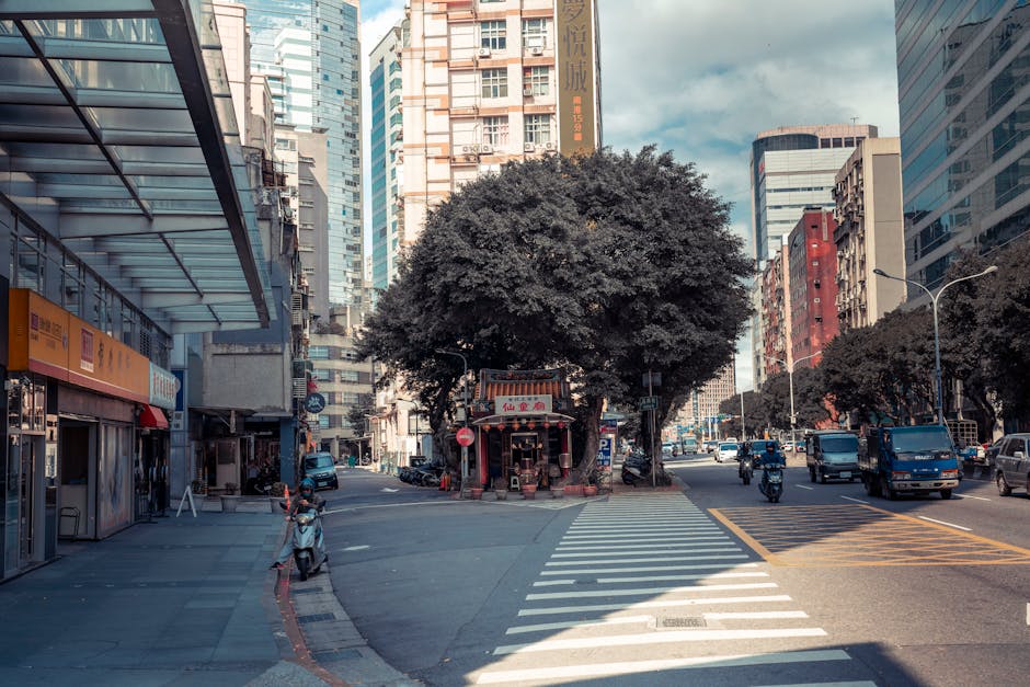 Die Traumschiff Island Osterfolge 2026: Ein Fiebertraum im Eis