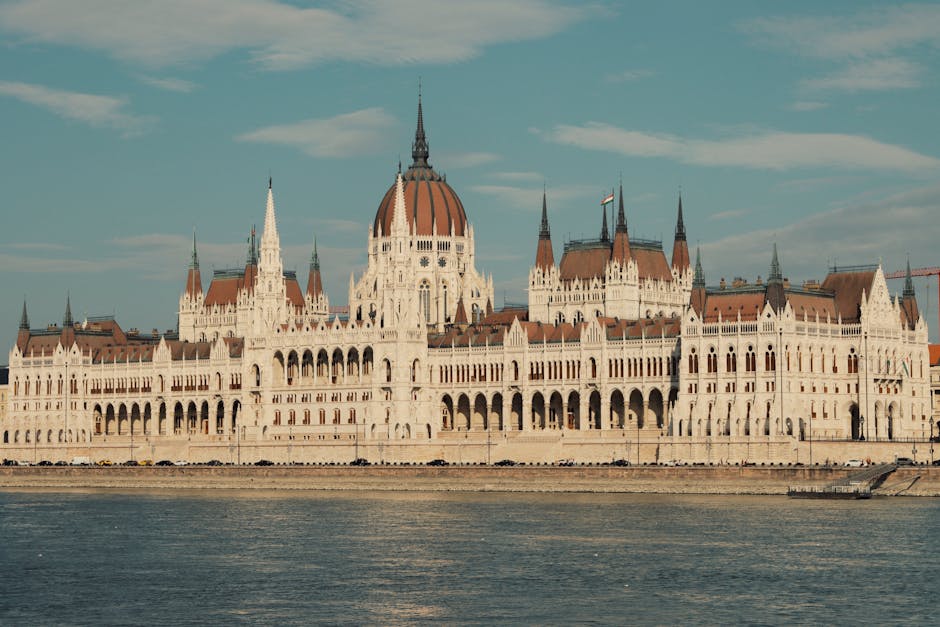 FDP Chef Rücktritt: Dürr macht Platz für Kubicki – Strack-Zimmermann tobt