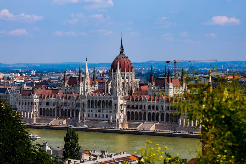 Facharzttermin Berlin Wartezeit: Warum 3 Wochen „Bullshit“ sind