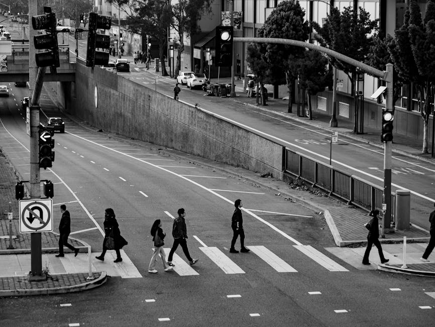 Trauer um Flusspferd Kathi: Zoo Berlin verabschiedet 50-jährige Ikone – BerlinEcho Trauer um Flusspferd Kathi: Zoo Berlin verabschiedet 50-jährige Ikone