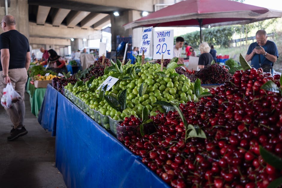 Freibäder Berlin Eintrittspreise 2026: Tarife & Badeseen