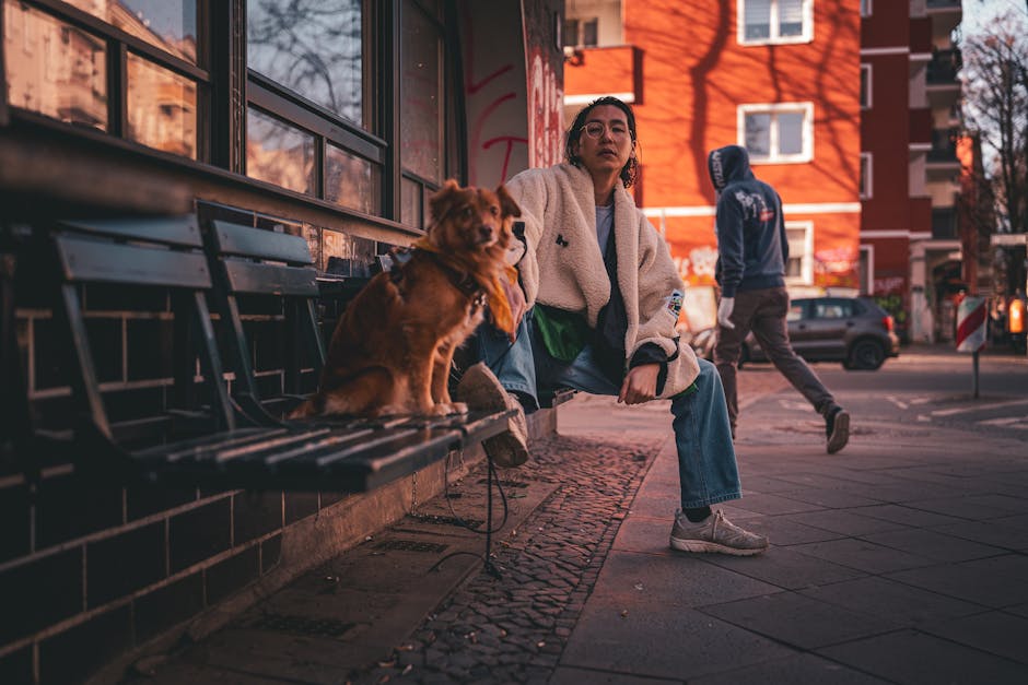 Die Notärztin Nächste Folge 2026: Hitze, Drama & Mediathek-Start