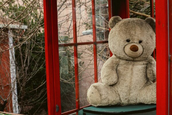 Teddybär mit Geld Gefunden: 50.000 Euro im DHL-Zentrum