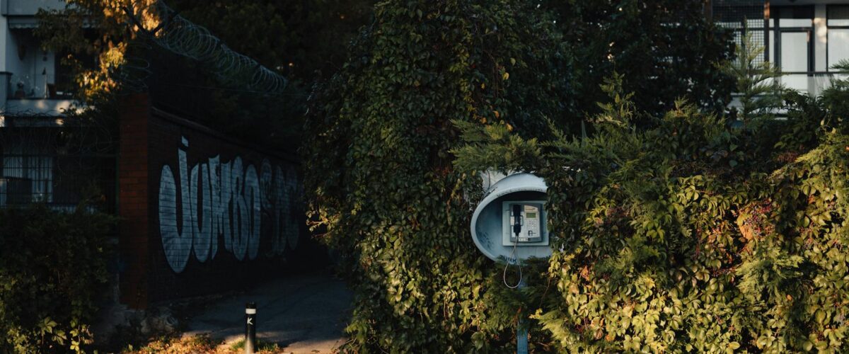 Aktionstag Sinti und Roma Berlin 2026: Demos, Flaggen & Zahlen