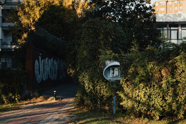 Aktionstag Sinti und Roma Berlin 2026: Demos, Flaggen & Zahlen