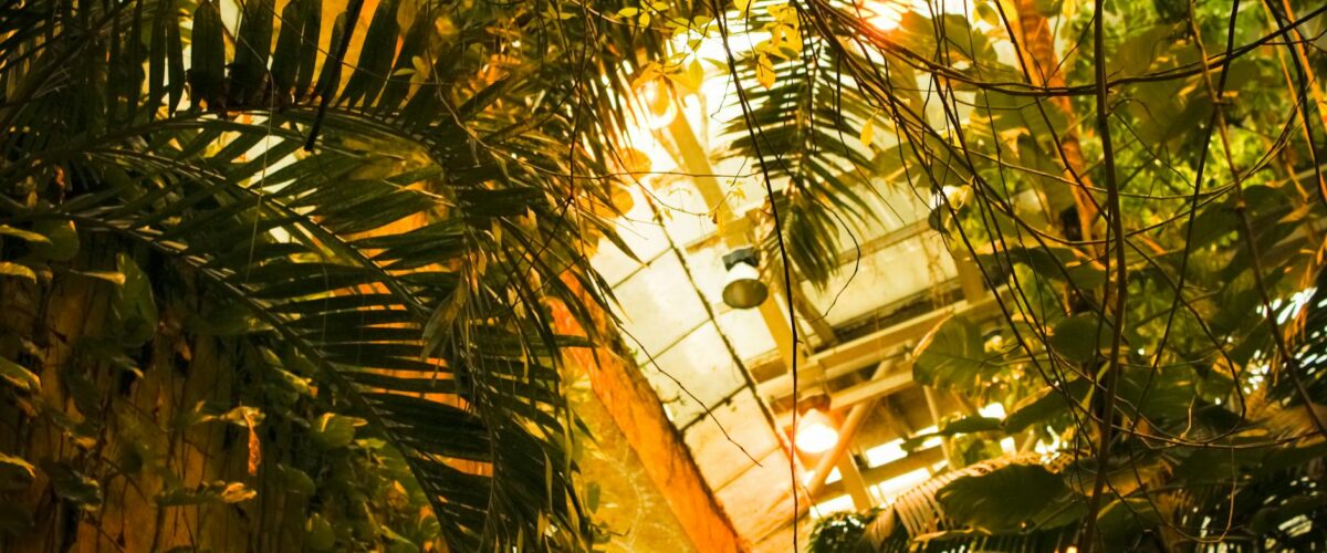 Gärten der Welt Überfall 2026: 4 Täter erbeuten sechsstellige Summe