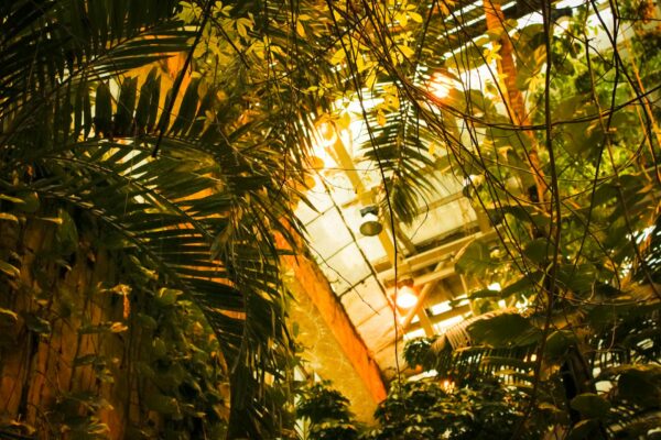 Gärten der Welt Überfall 2026: 4 Täter erbeuten sechsstellige Summe