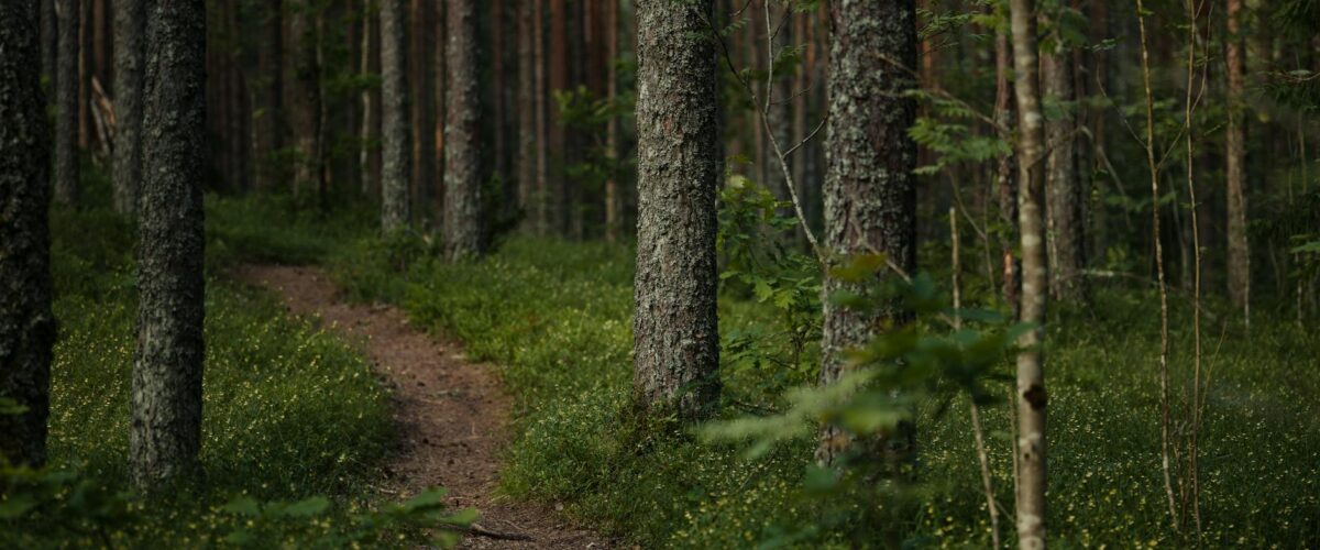 Schüsse Fürstenwalde Berlin 2026: Vier Verdächtige in U-Haft
