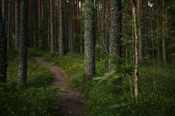 Schüsse Fürstenwalde Berlin 2026: Vier Verdächtige in U-Haft