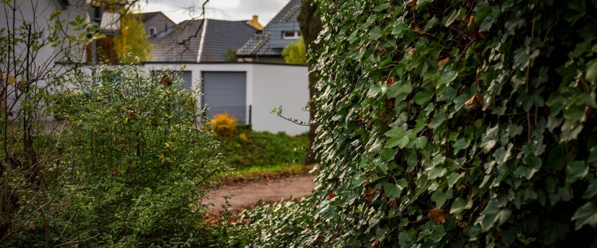 Storchendorf Linum Ausflug: Storchenschmiede startet in die Saison 2026