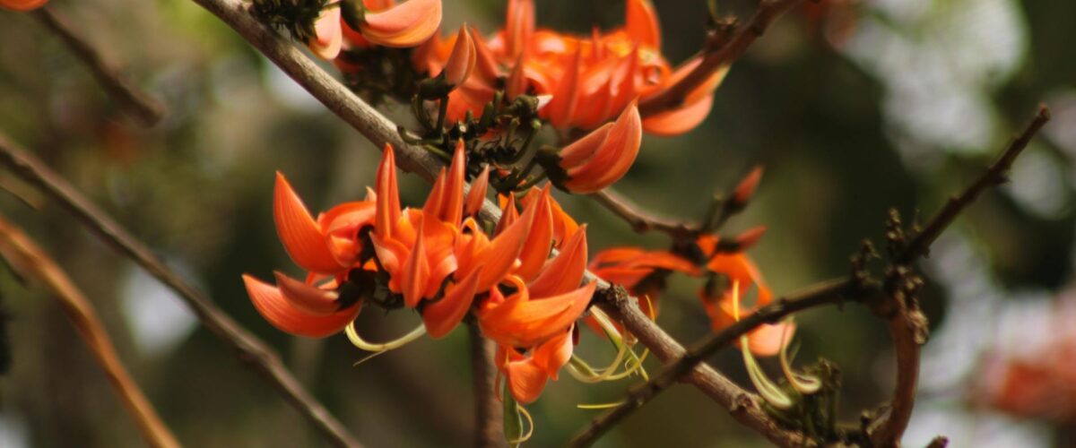 Kino Programm Berlin Heute: Preise, Yorck & Multiplex 2026