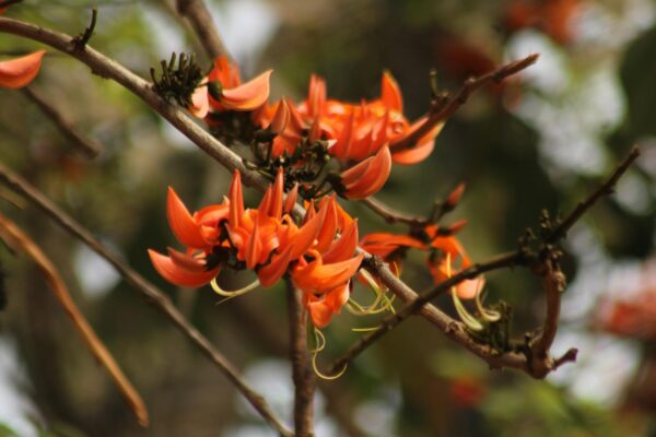 Kino Programm Berlin Heute: Preise, Yorck & Multiplex 2026