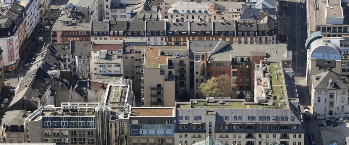 FDP Chef Rücktritt: Dürr macht Platz für Kubicki – Strack-Zimmermann tobt