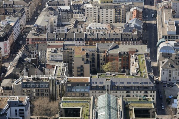 FDP Chef Rücktritt: Dürr macht Platz für Kubicki – Strack-Zimmermann tobt