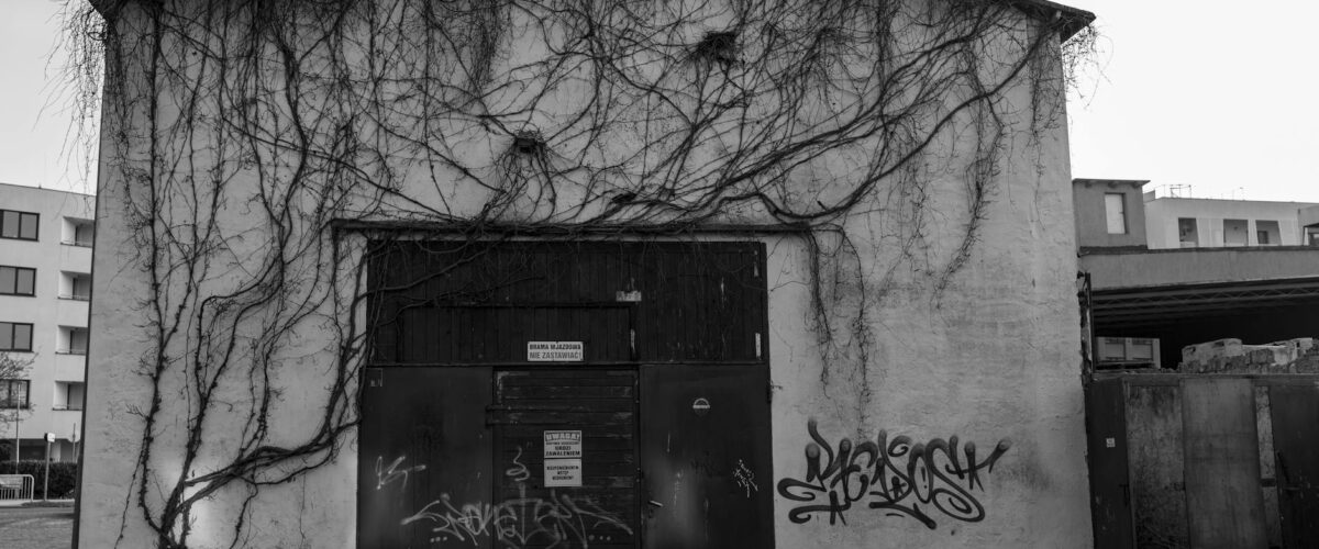 Autounfall Prignitz Frau Lebensgefahr: 68-Jährige prallt gegen Bäume