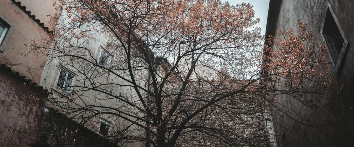 Marasu's Petit Fours Insolvenz: 300-Tonnen-Schokoladen-Riese pleite