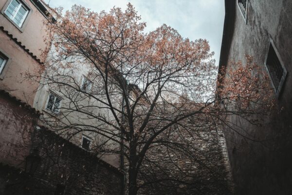 Marasu's Petit Fours Insolvenz: 300-Tonnen-Schokoladen-Riese pleite