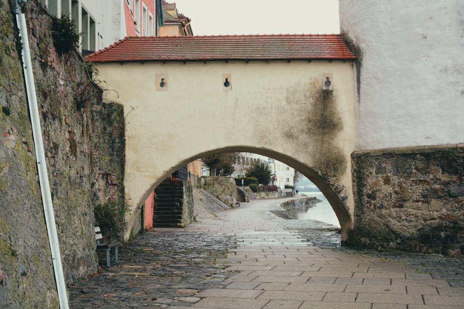 Clan Schlägerei Berlin Velodrom Berlin News