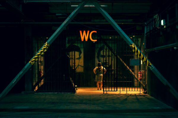 Eisbären Berlin Finale Berlin News