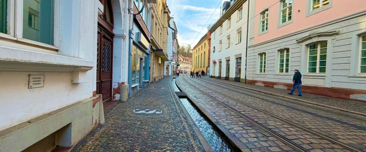 Freiwilligenbörse Reinickendorf Berlin News