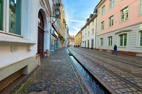 Freiwilligenbörse Reinickendorf Berlin News