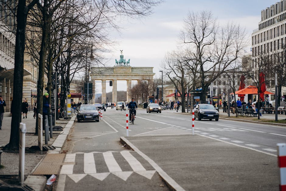 Gendarmenmarkt Bäume Berlin News