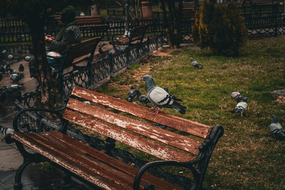 Görli Park Drogen Berlin News