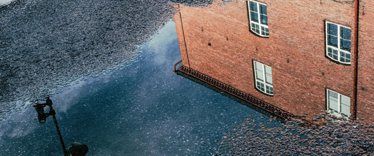 Illegale Müllhalden Marzahn Hellersdorf Berlin News