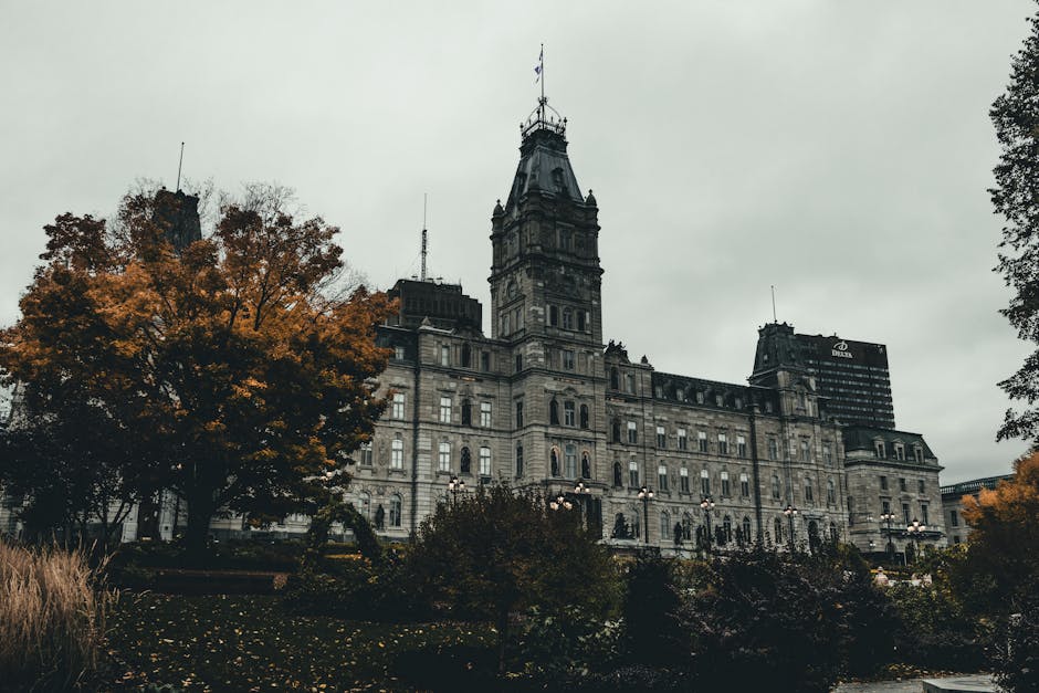 Kindergeld Antraglos Berlin Ab Wann 2027 Berlin News