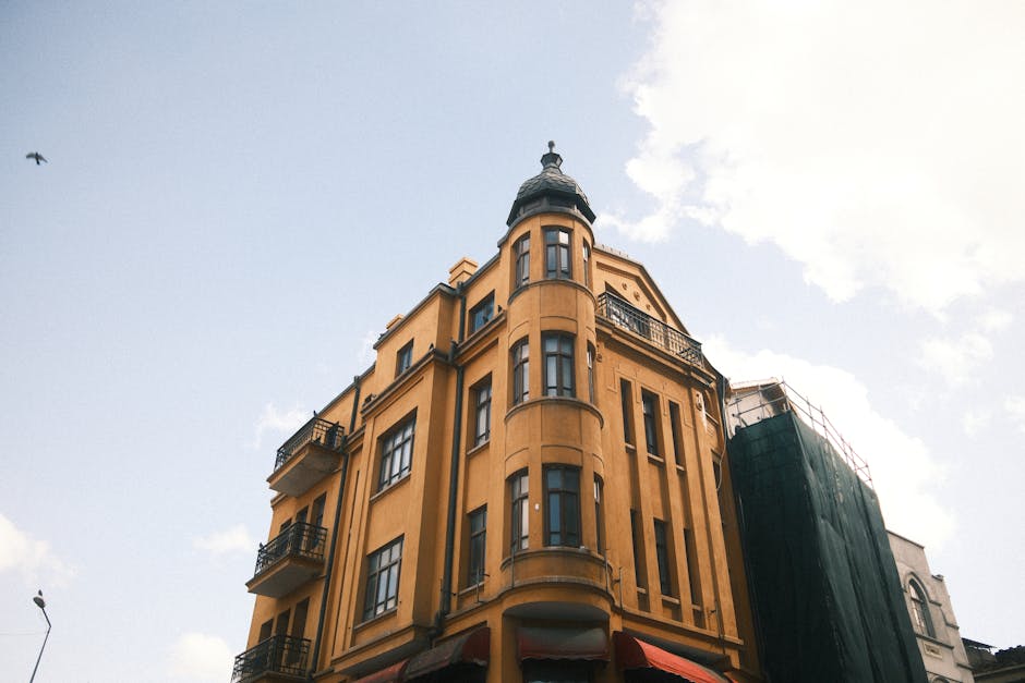 Kubicki Nennt Merz Eierarsch Berlin News