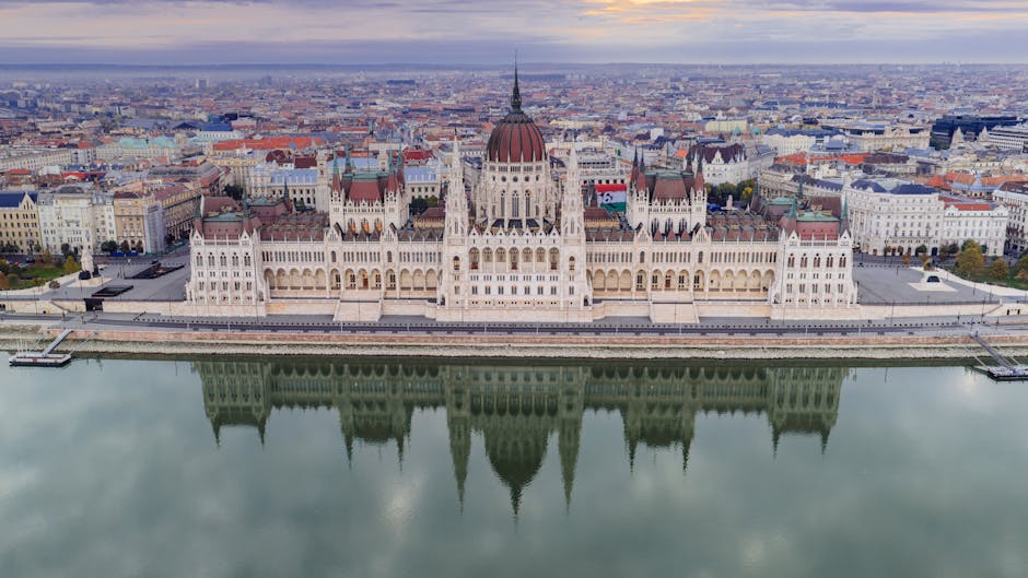 Linke Wahlprogramm Berlin 2026 Berlin News