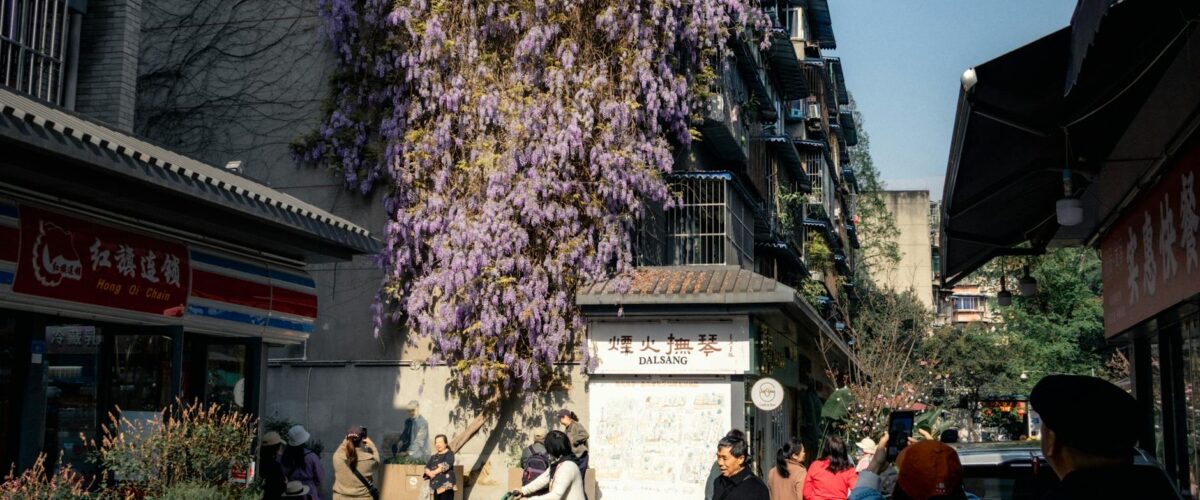 Public Viewing Berlin WM 2026 Erlaubt Berlin News