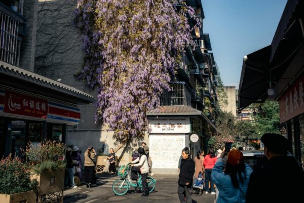 Public Viewing Berlin WM 2026 Erlaubt Berlin News