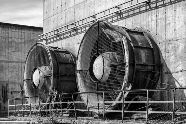 Rani Khedira Tunesien Wm 2026 Berlin News