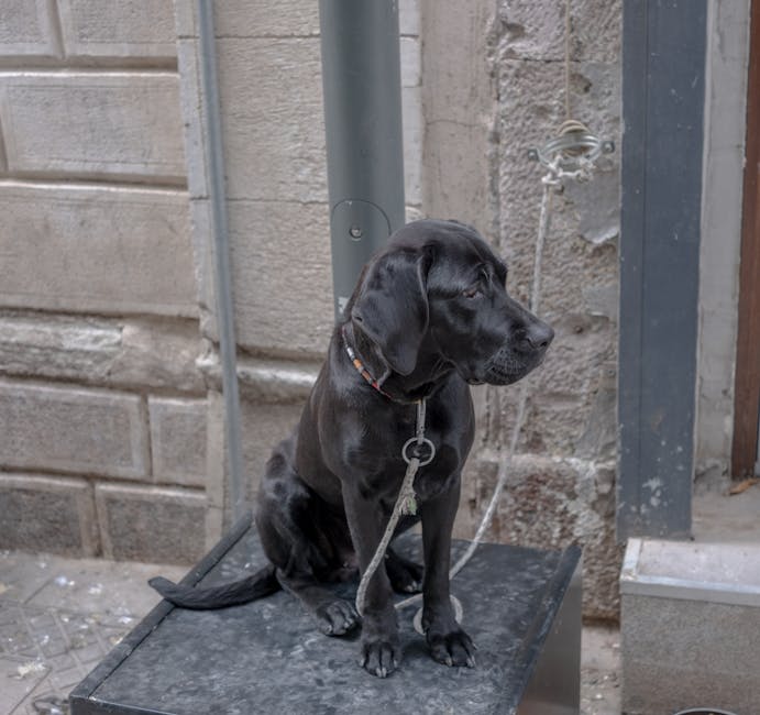 Sozialbericht Berlin 2026 Berlin News