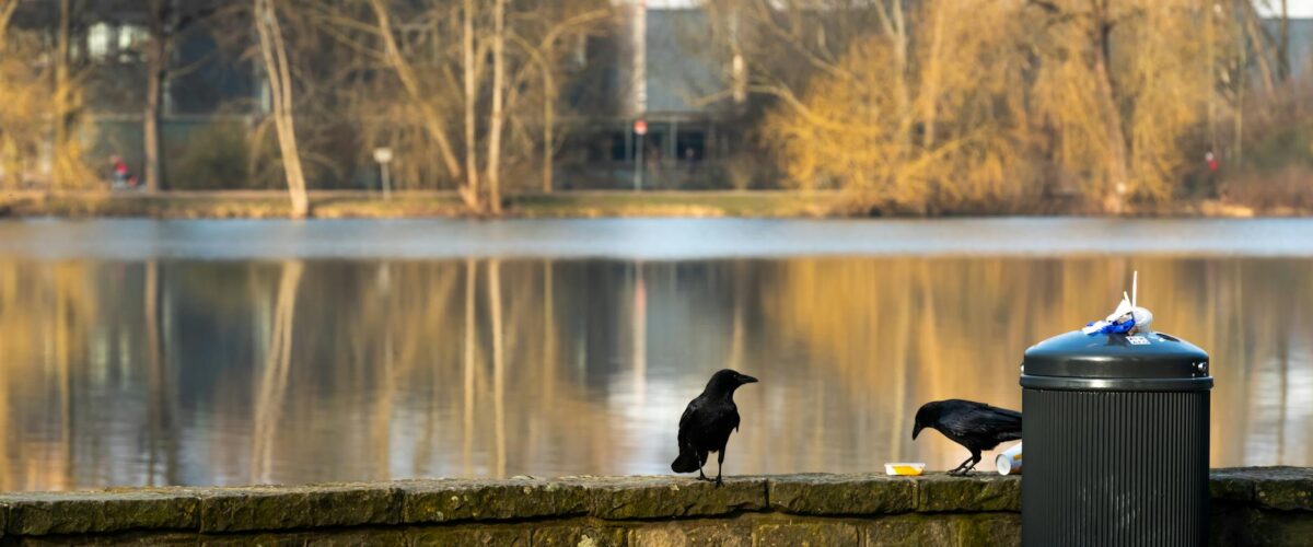 Spandau Ufer Baustart Berlin News
