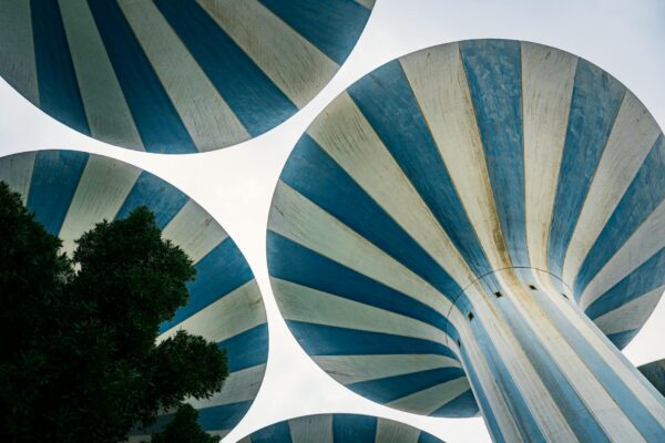 Wasserball Spandau 04 Playoffs Berlin News