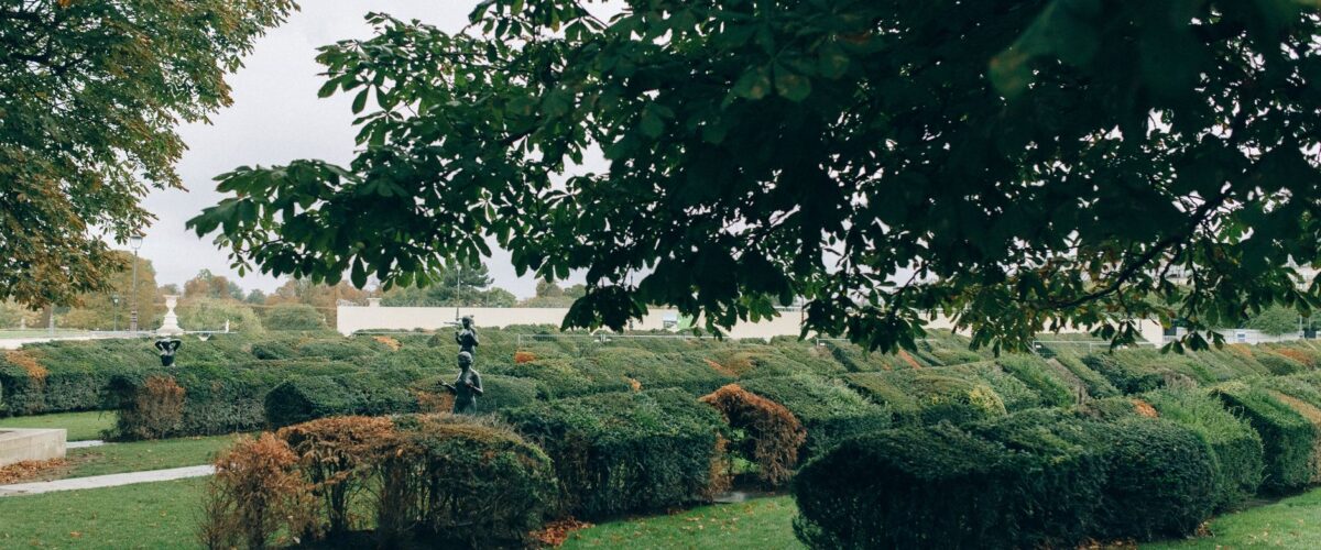 Geschnittene Hecken eines Irrgartens in einer Parkanlage – Heckenlabyrinth Britzer Garten