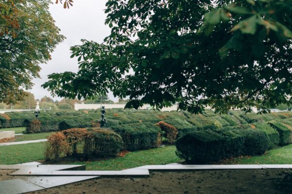 Geschnittene Hecken eines Irrgartens in einer Parkanlage – Heckenlabyrinth Britzer Garten