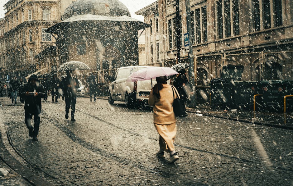 Berlin Winter Tipps Berlin News