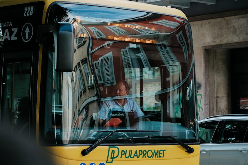 Berliner Buslinien Nachtbusse Berlin News
