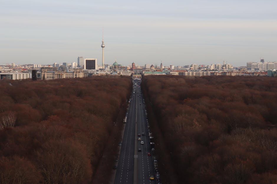 Bildungsnotstand Berlin Berlin News