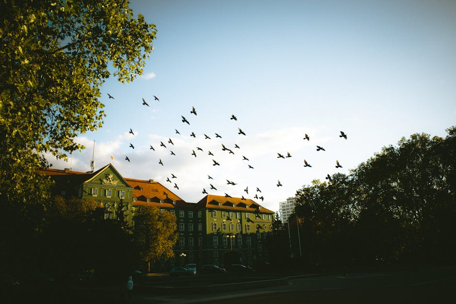 Ehrenamt Spandau Berlin News