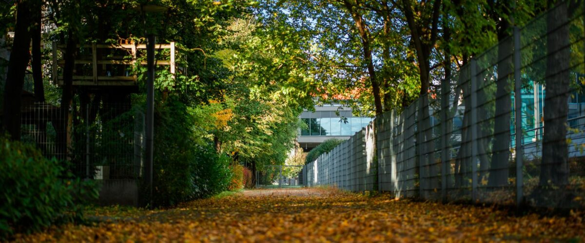 Fitnessparcours Spandau Berlin News