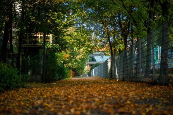 Fitnessparcours Spandau Berlin News