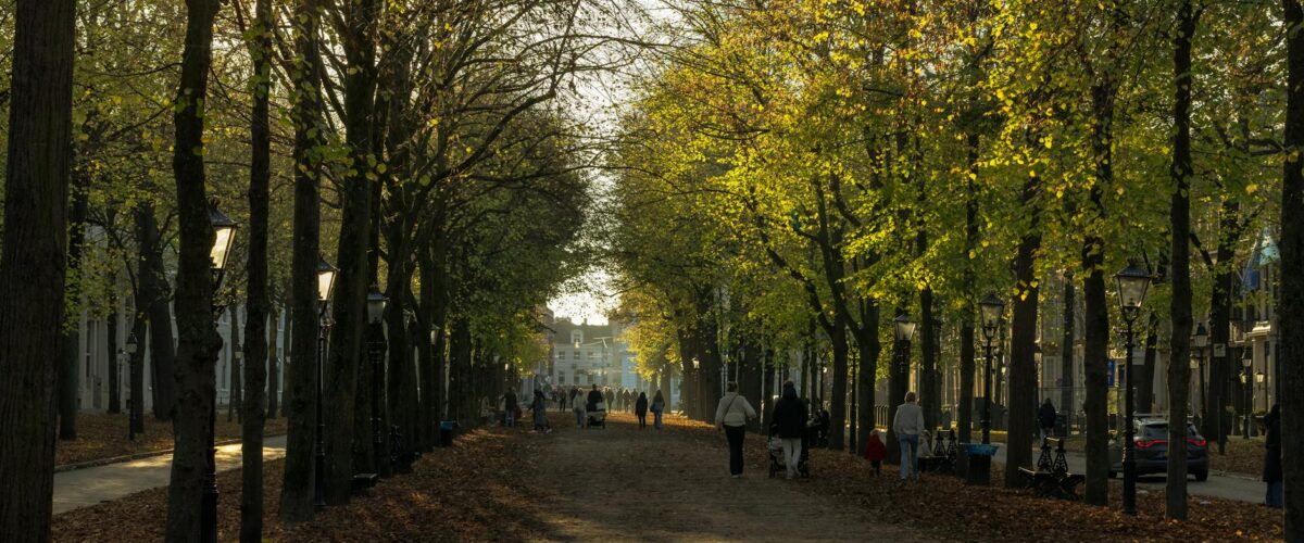 Holland Park Superhelden Berlin News