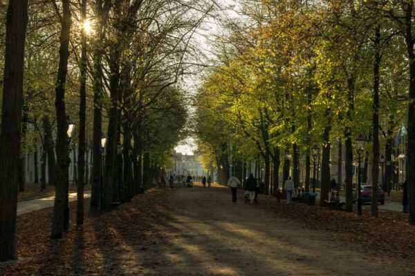Holland Park Superhelden Berlin News